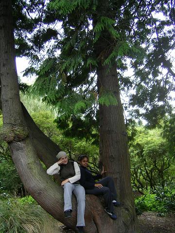 jazz and ann on tree.JPG